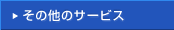̑̃T[rX